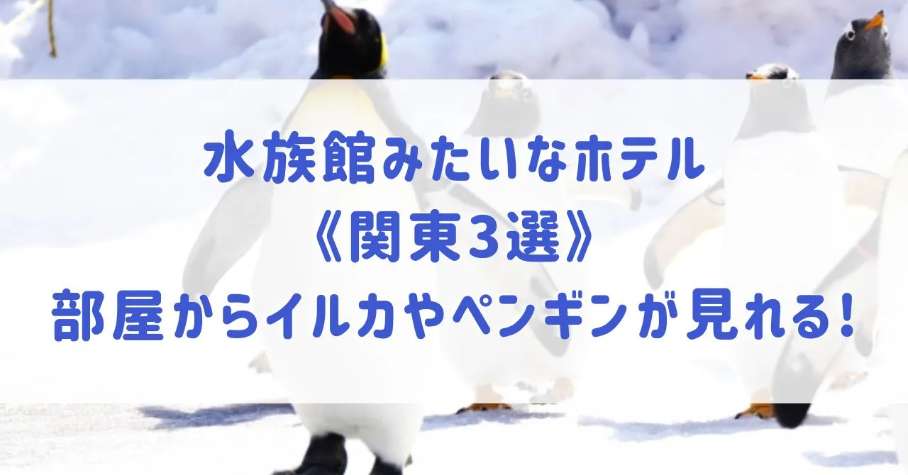 水族館みたいなホテル《関東3選》水槽があるホテルや部屋からイルカやペンギンが見られるホテルもご紹介